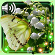 Lily of Valley HD LWP APK